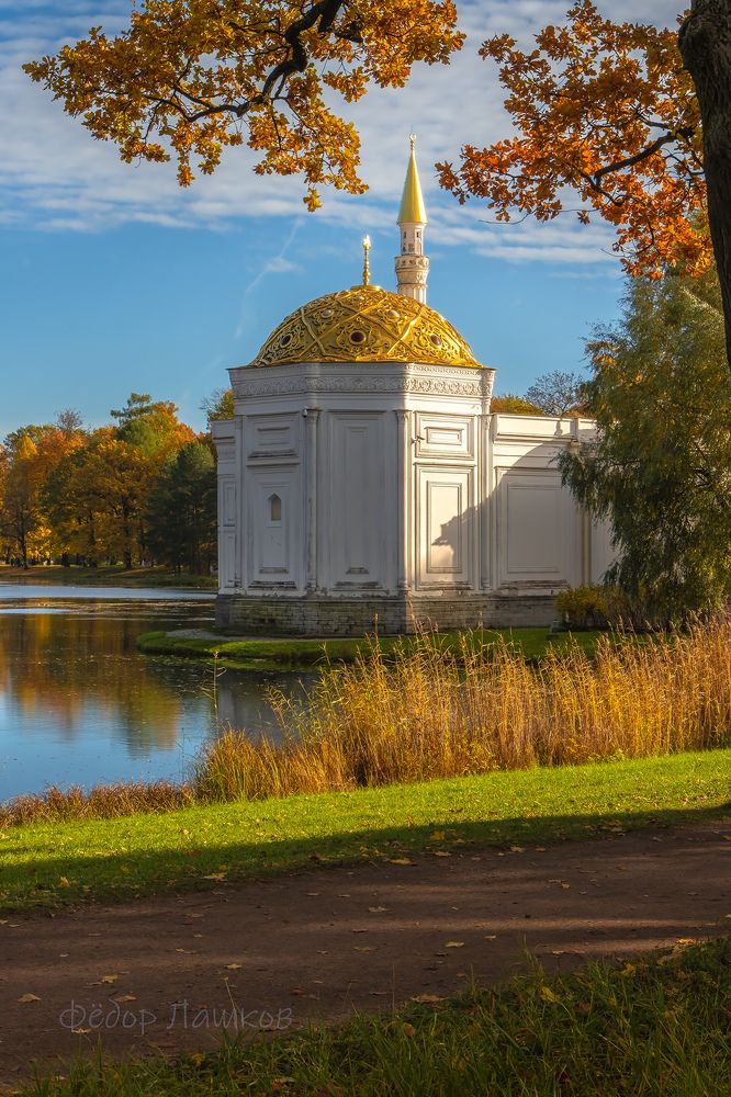 Открытки из города Пушкин