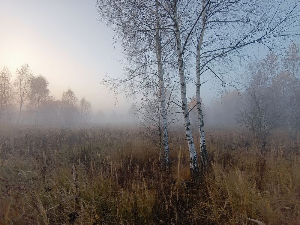 Photo 2715438