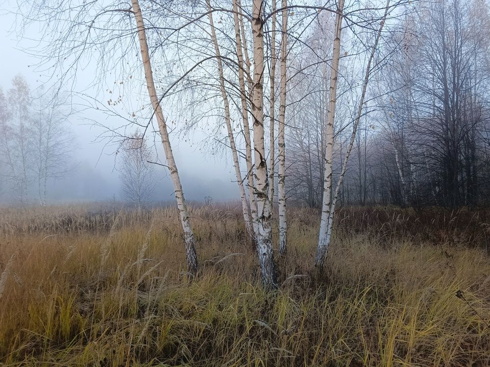 Photo 2715439