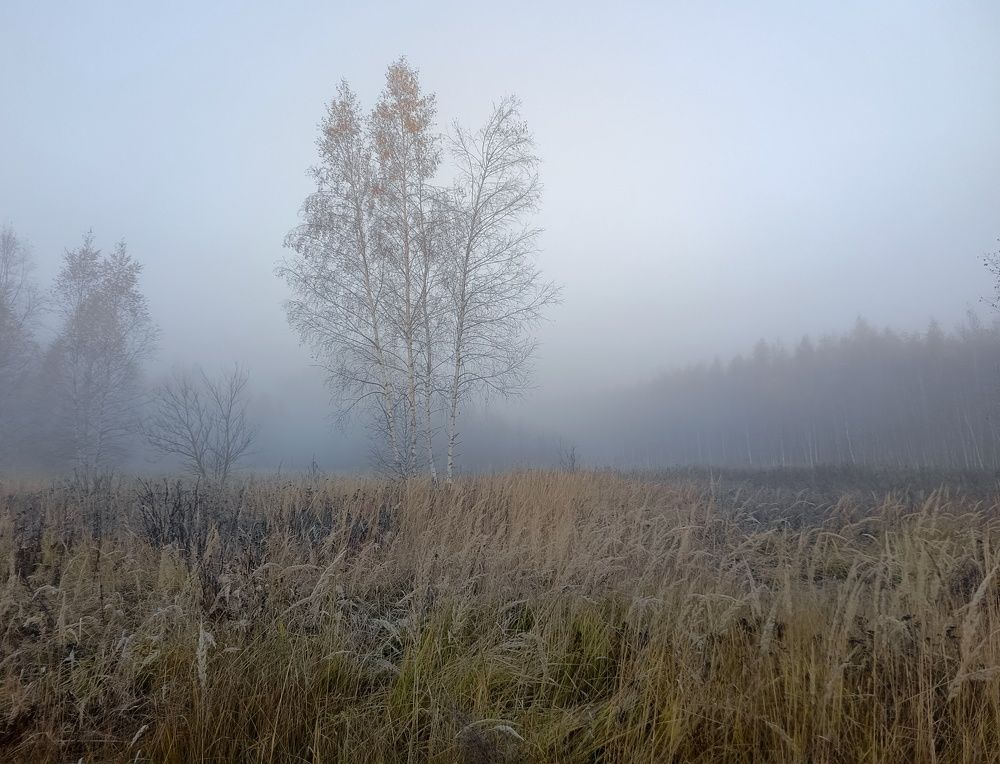Photo 2715440
