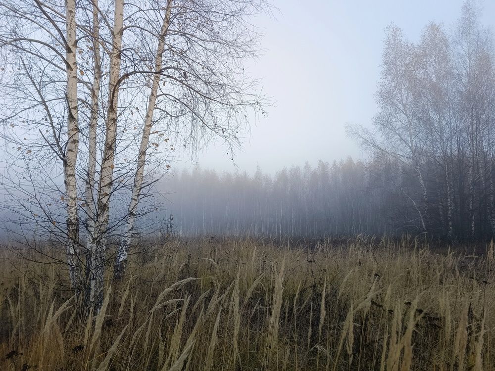 Photo 2715441