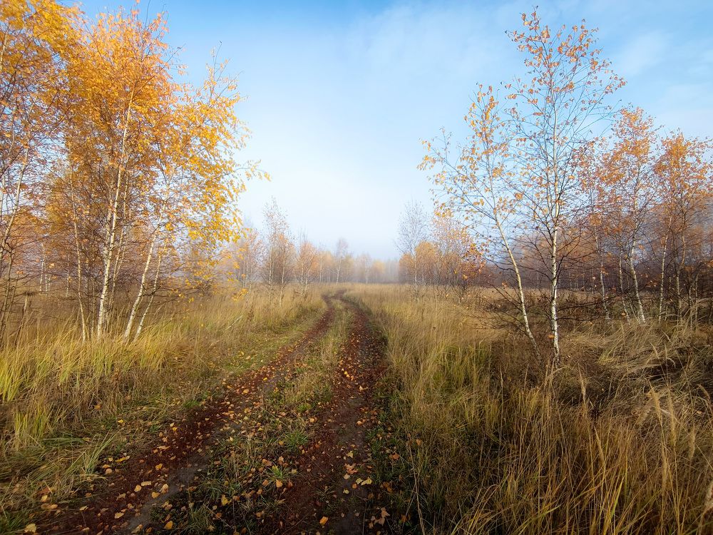 Photo 2715445