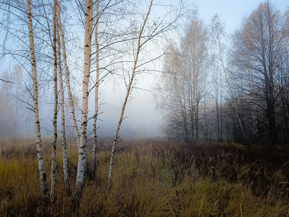 Photo 2715598