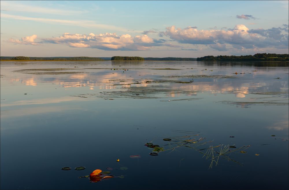 Вечер в Вершинино