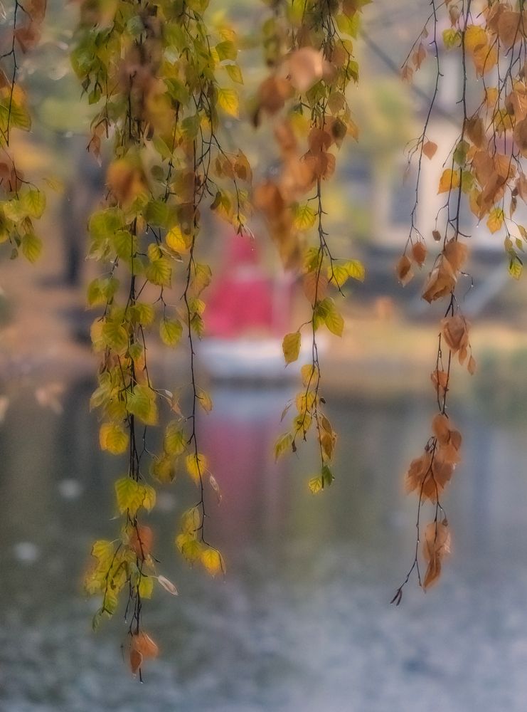 У природы нет плохой погоды..