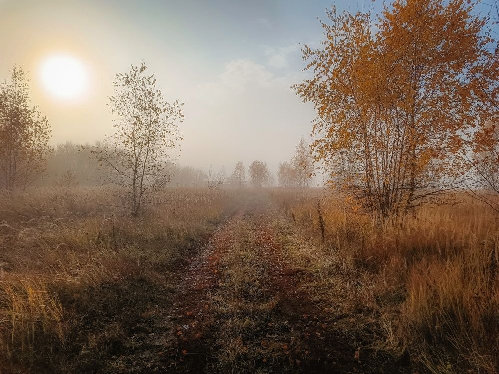 Photo 2716309