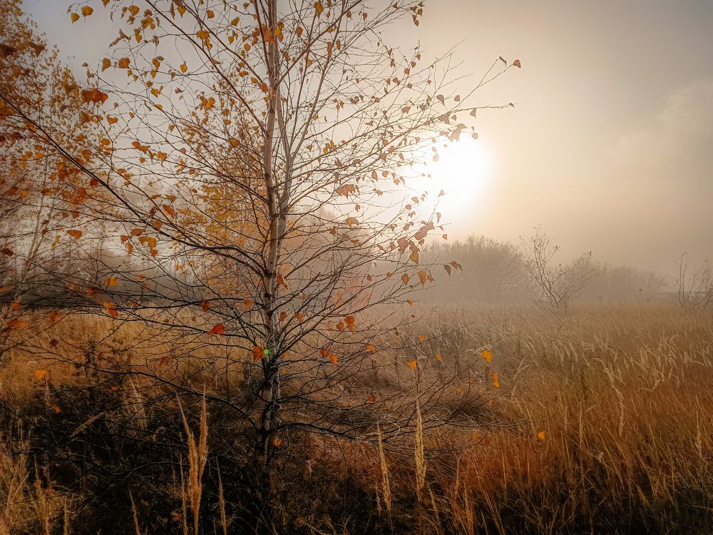 Photo 2716312