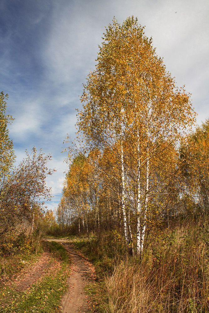 Photo 2716371