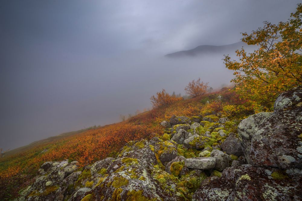 В облаках
