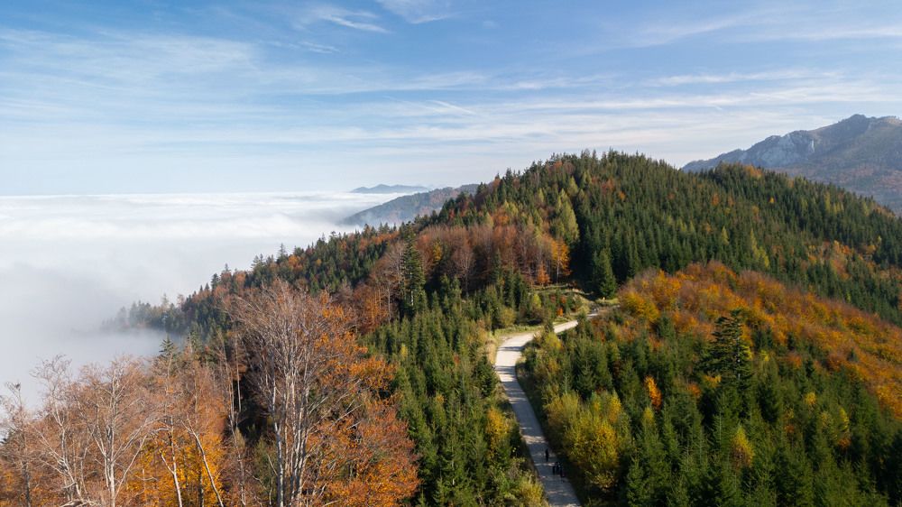 Осень