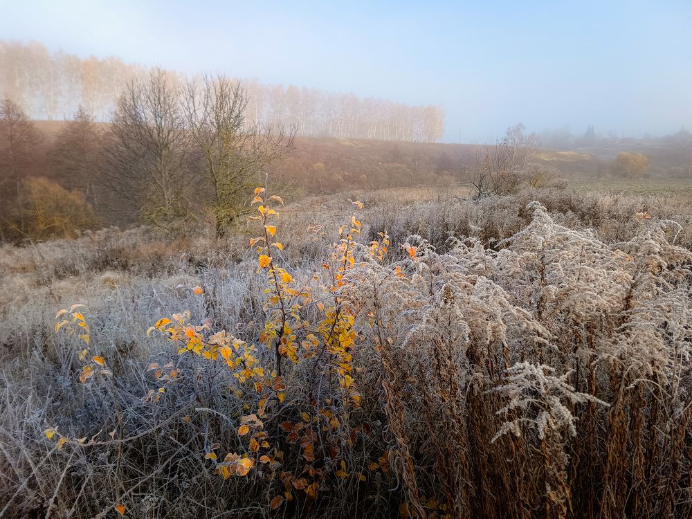 Photo 2716916
