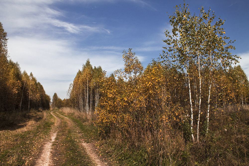 Photo 2717227
