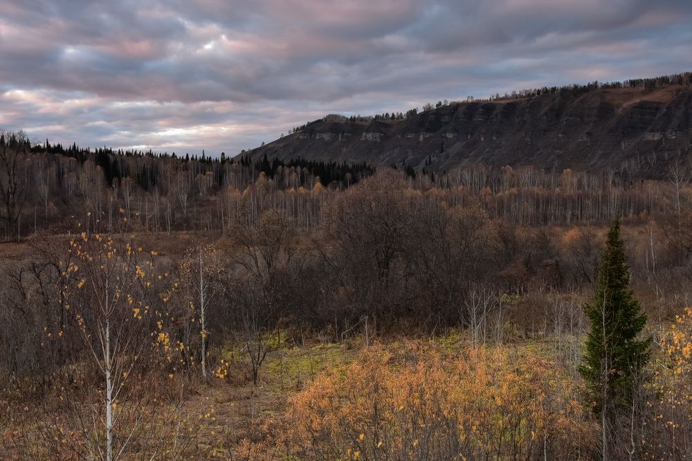Поздняя осень закат