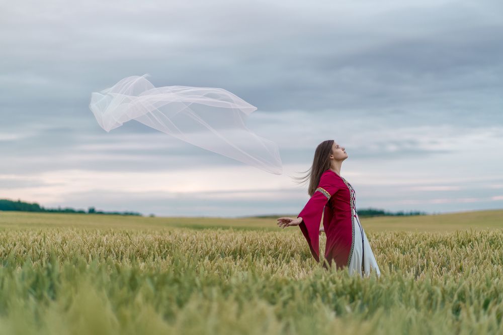 Warrior's Bride