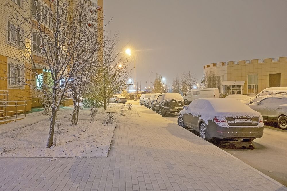 Утренняя прогулка