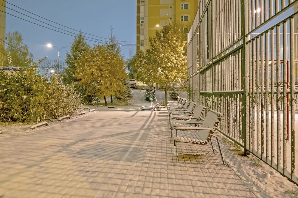 Утренняя прогулка