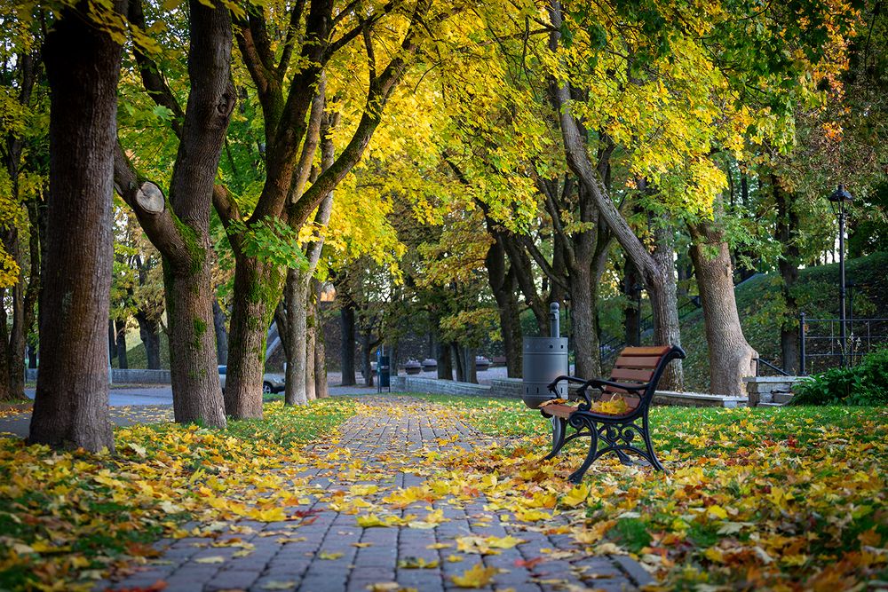 Осень в Темном саду. Нарва.