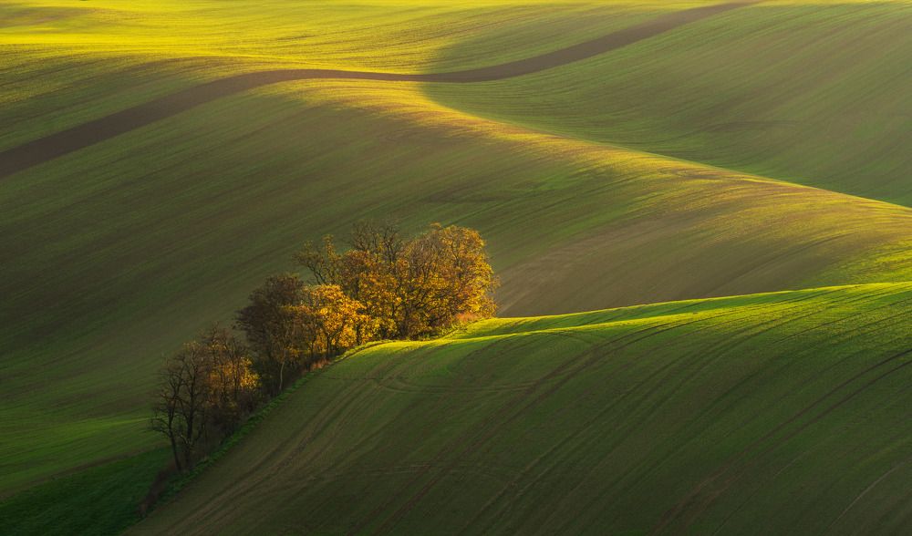 Autumn in Moravia