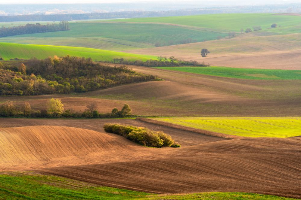 Autumn in Moravia