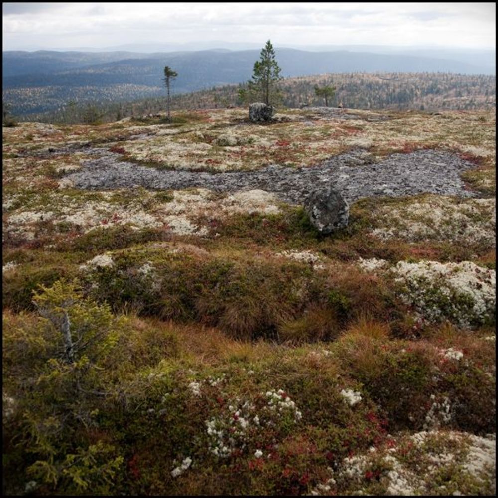 Осень в северной Карелии
