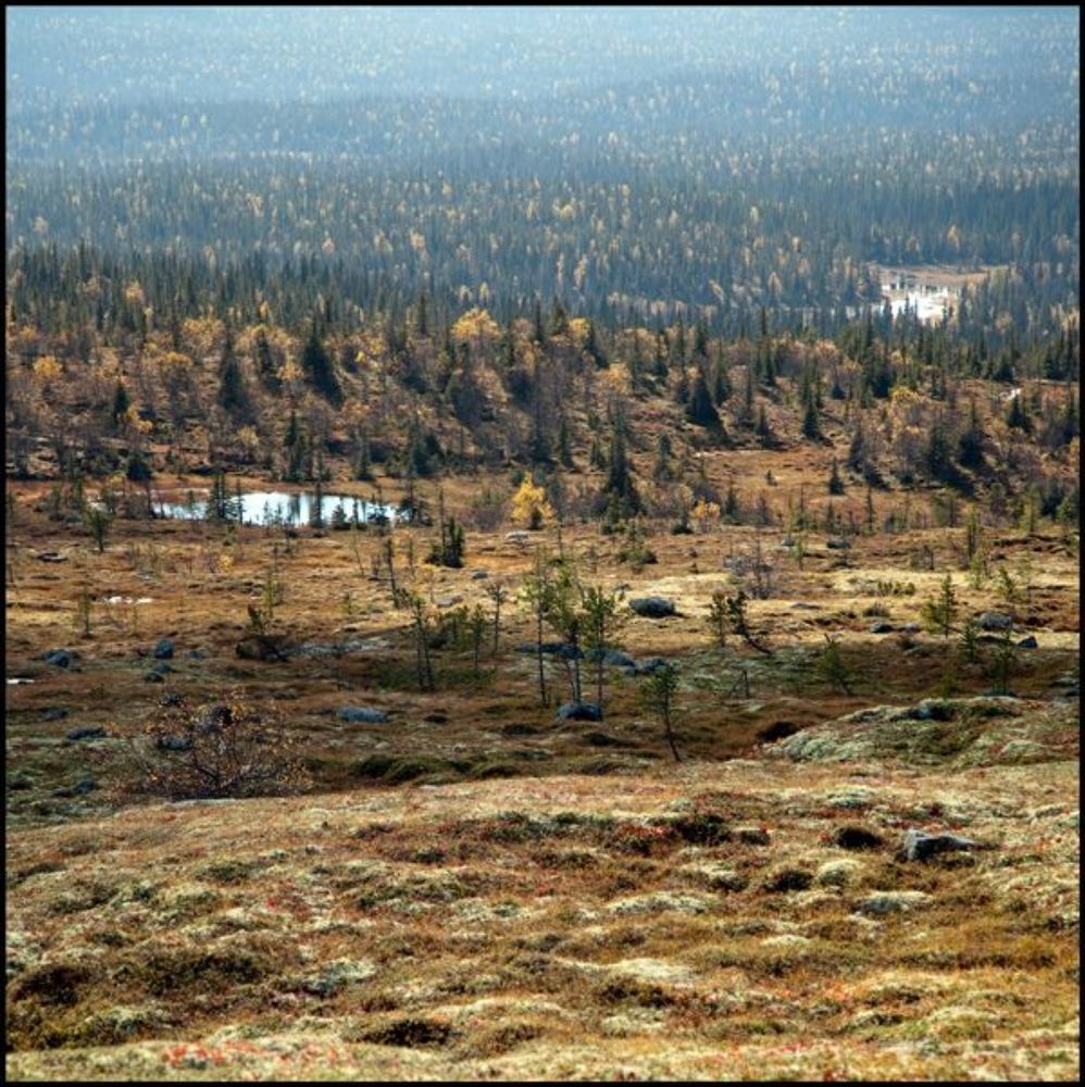 Осень в северной Карелии