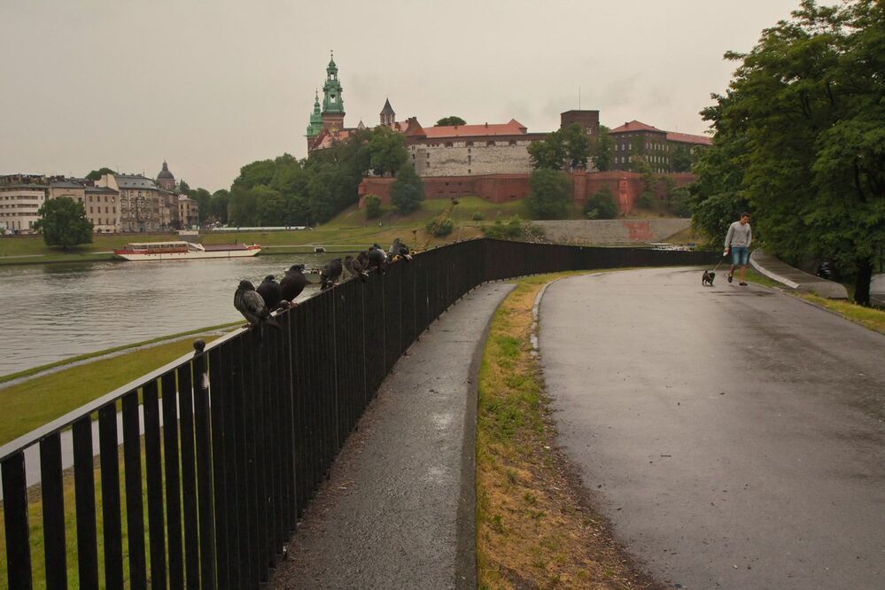 Dzien dobry, Krakow!