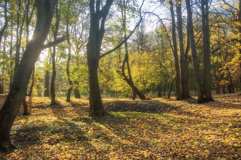 Зеленоградск. Осень в парке