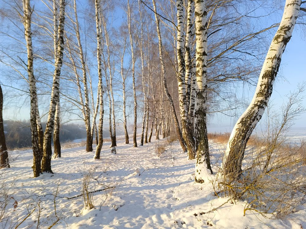 Photo 2720739