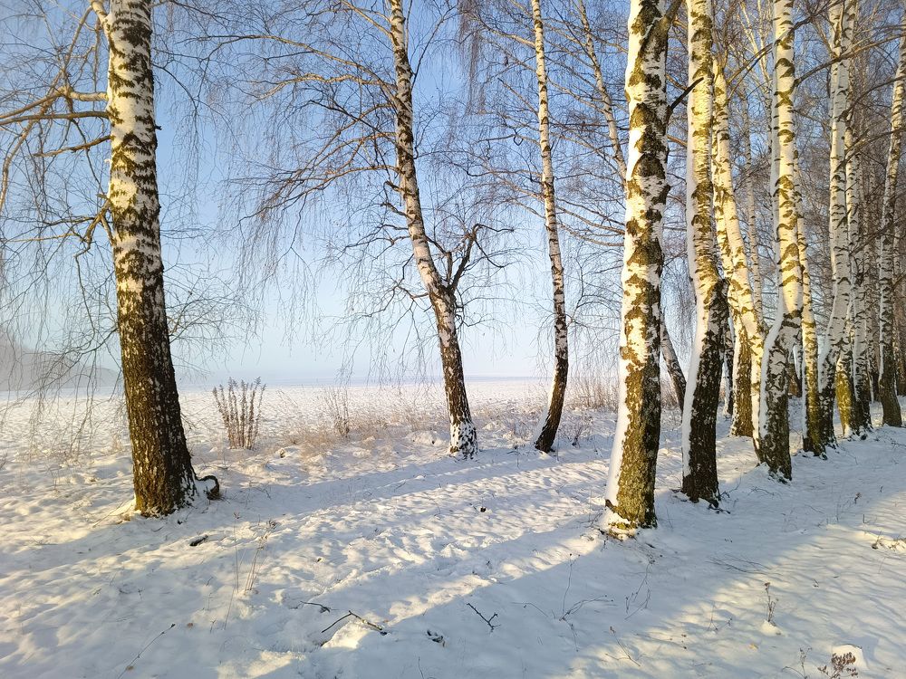 Photo 2720740