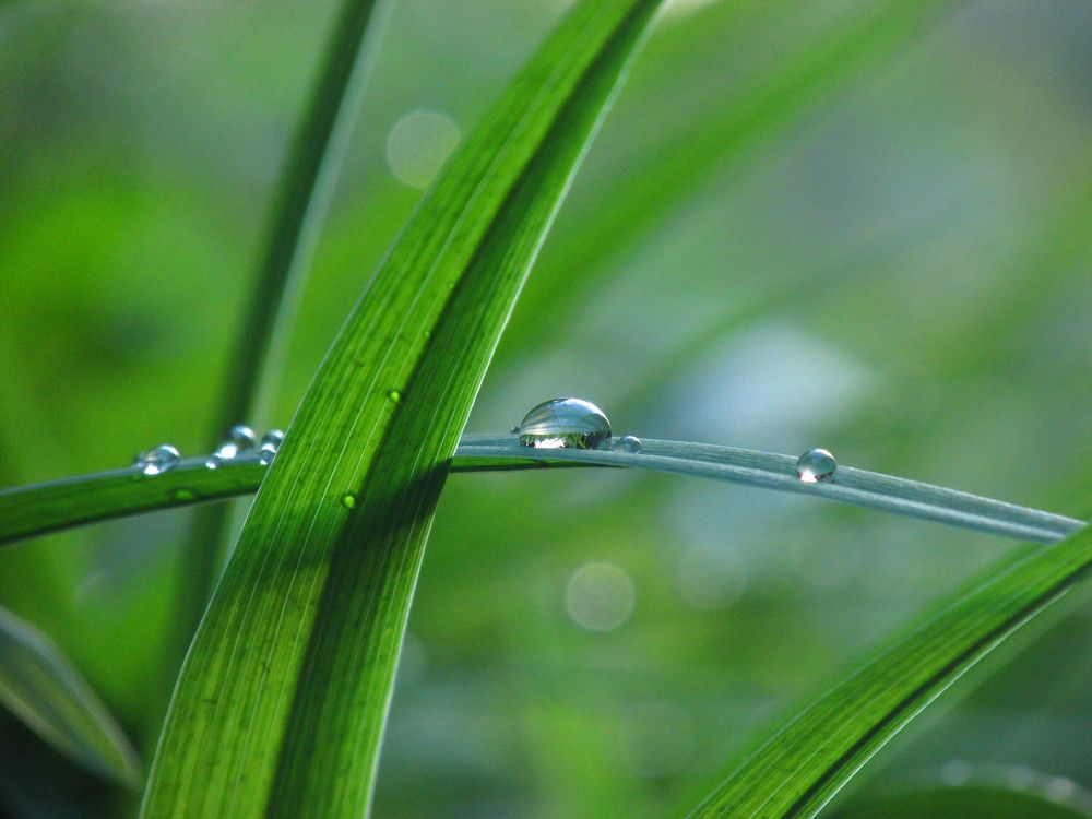 Photo 2720748