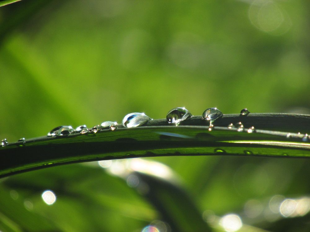 Photo 2720749