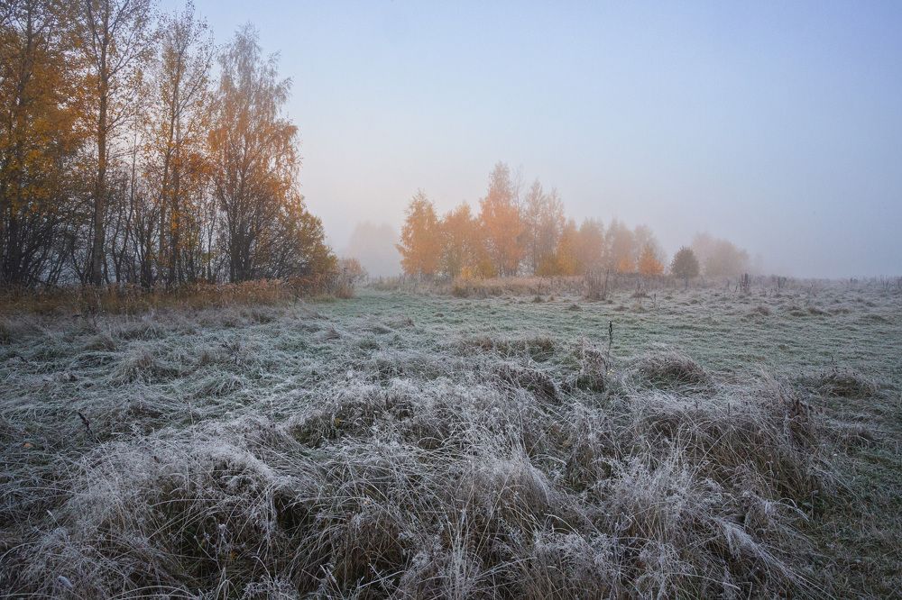 Морозное утро...