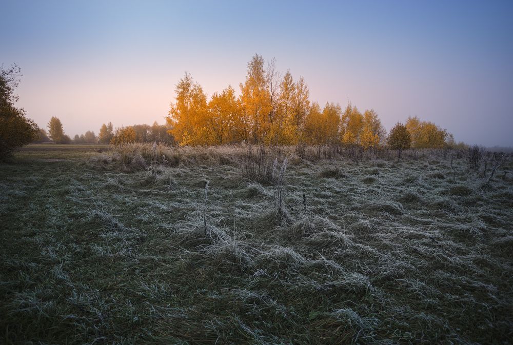 Морозное утро...