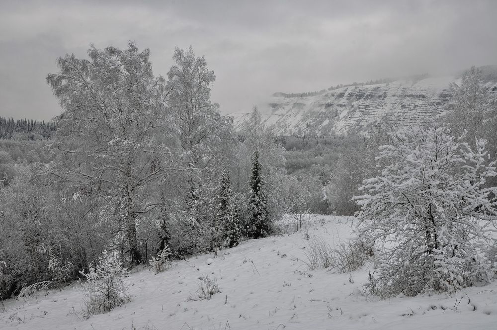 Подкатунь. Первый снег