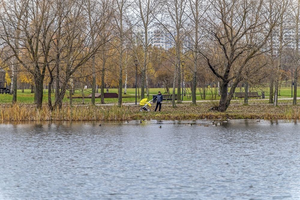 На городском пруду
