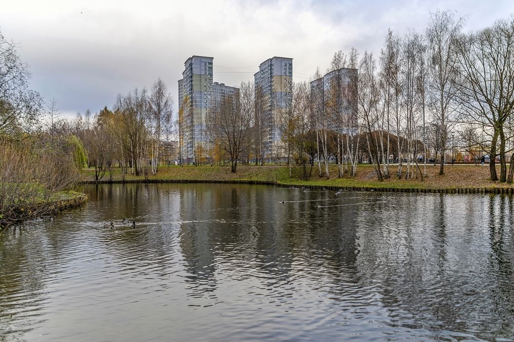 На городском пруду