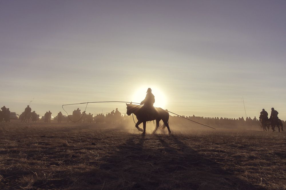 in Mongolia