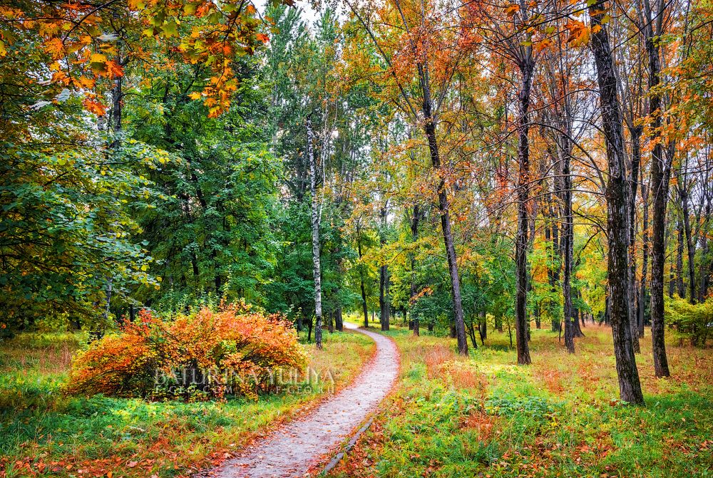 Петровский парк