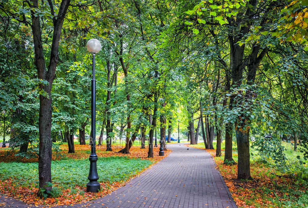 Петровский парк