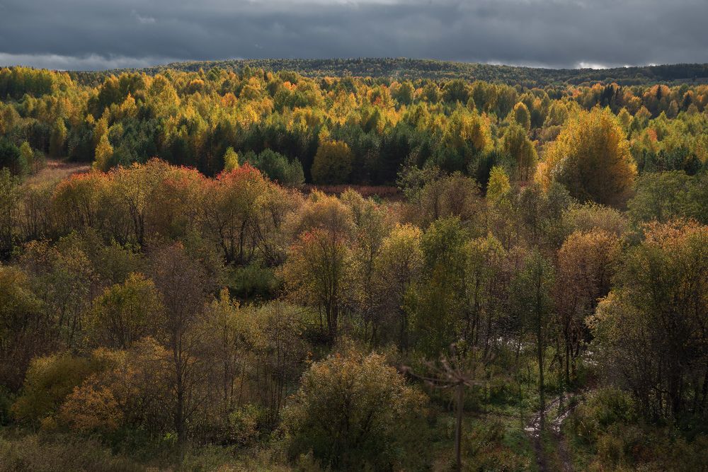 Луч света в пасмурный сентябрьский день
