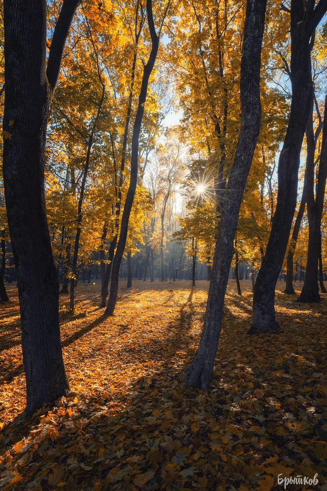 Платоновский парк. Тула. Октябрь.