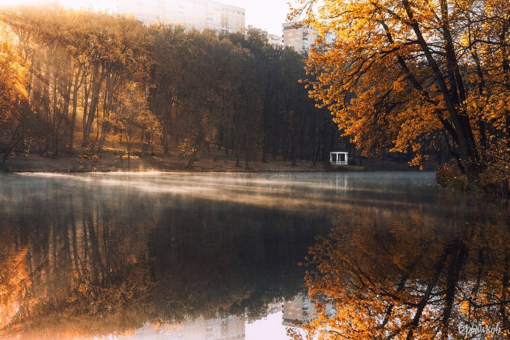 Платоновский парк. Тула. Октябрь.