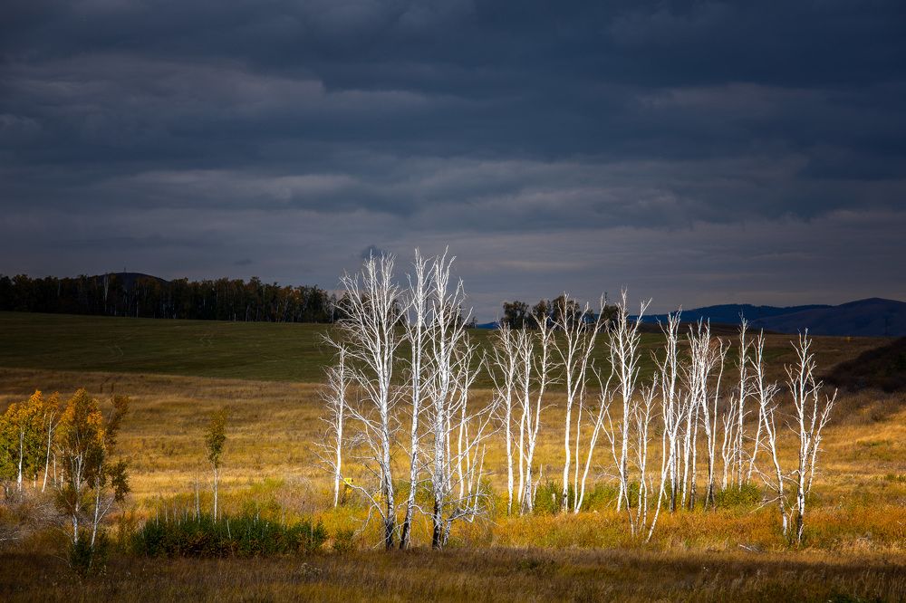 Photo 2726635