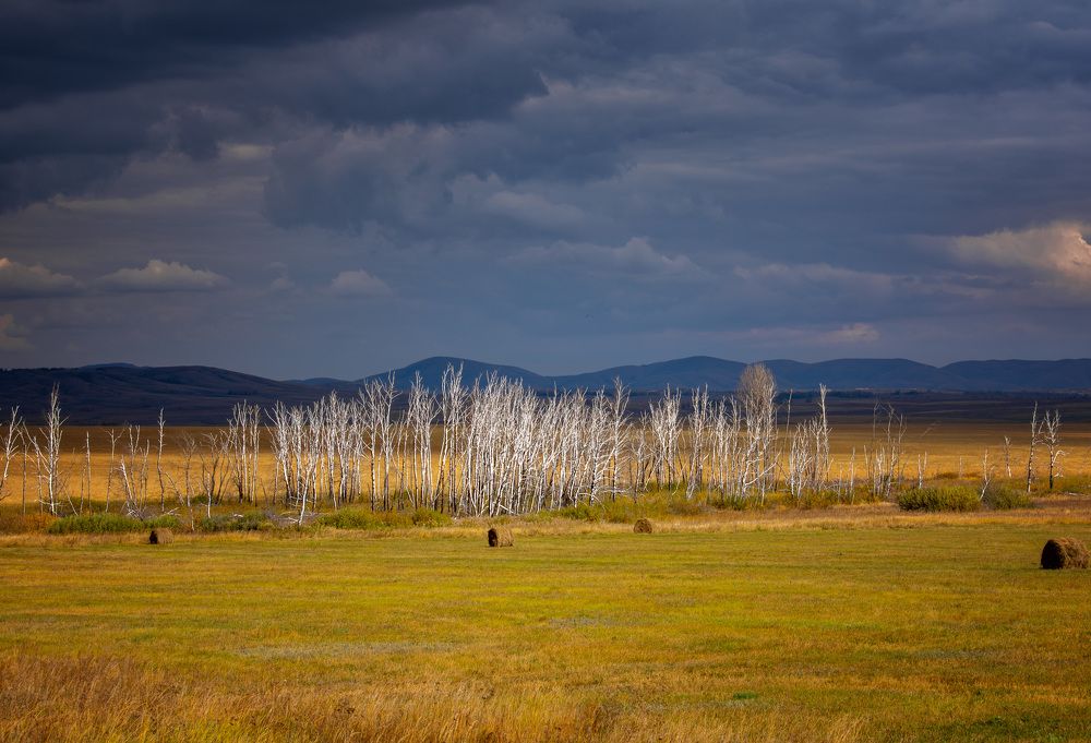 Photo 2726636