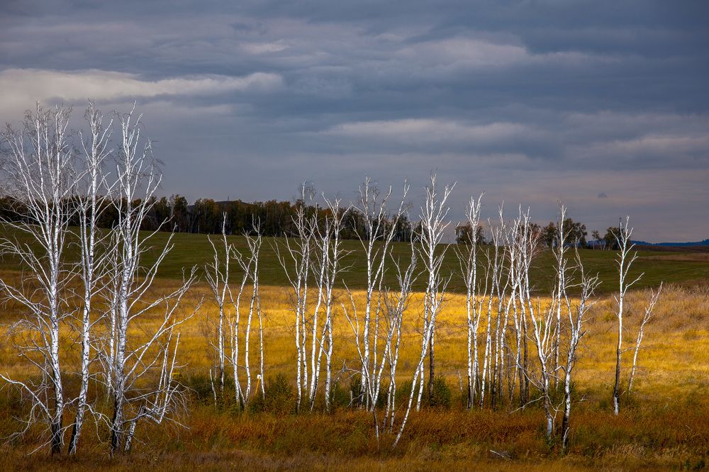 Photo 2726637