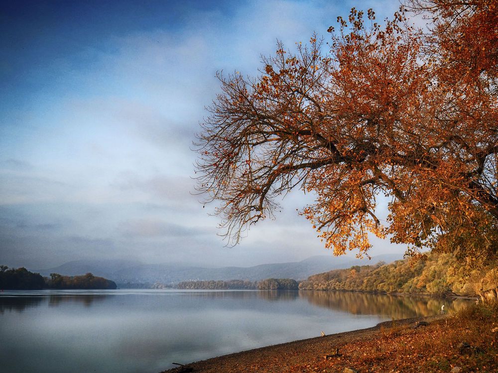 Autumn Danube 3