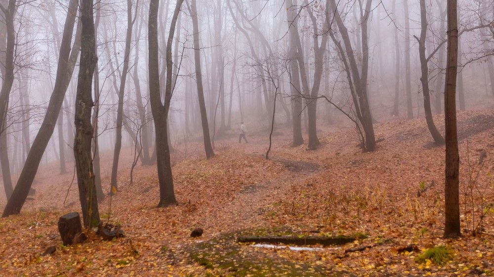 Ноябрь в Октябрьском ущелье