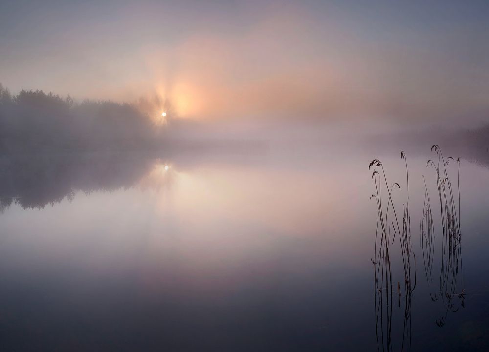 Photo 2729161