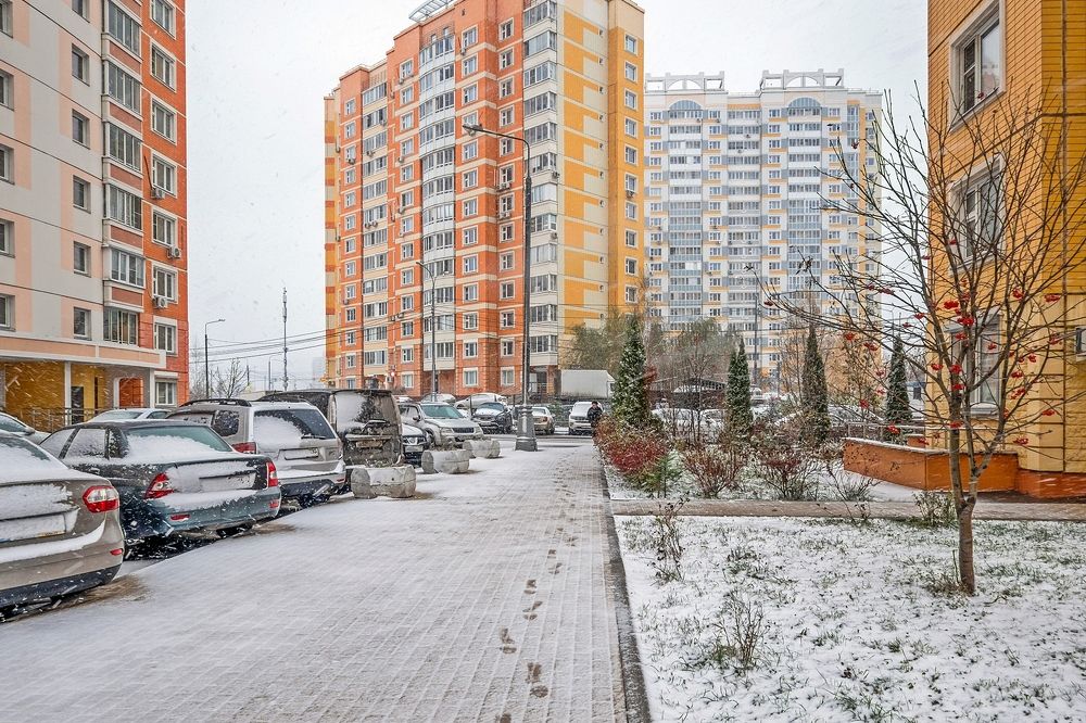 Сегодня  дождь, вчера  снег, осень не сдаётся