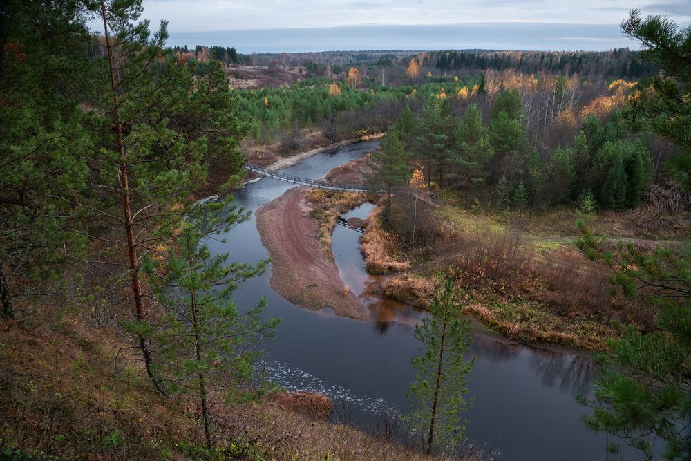 Осенний лес